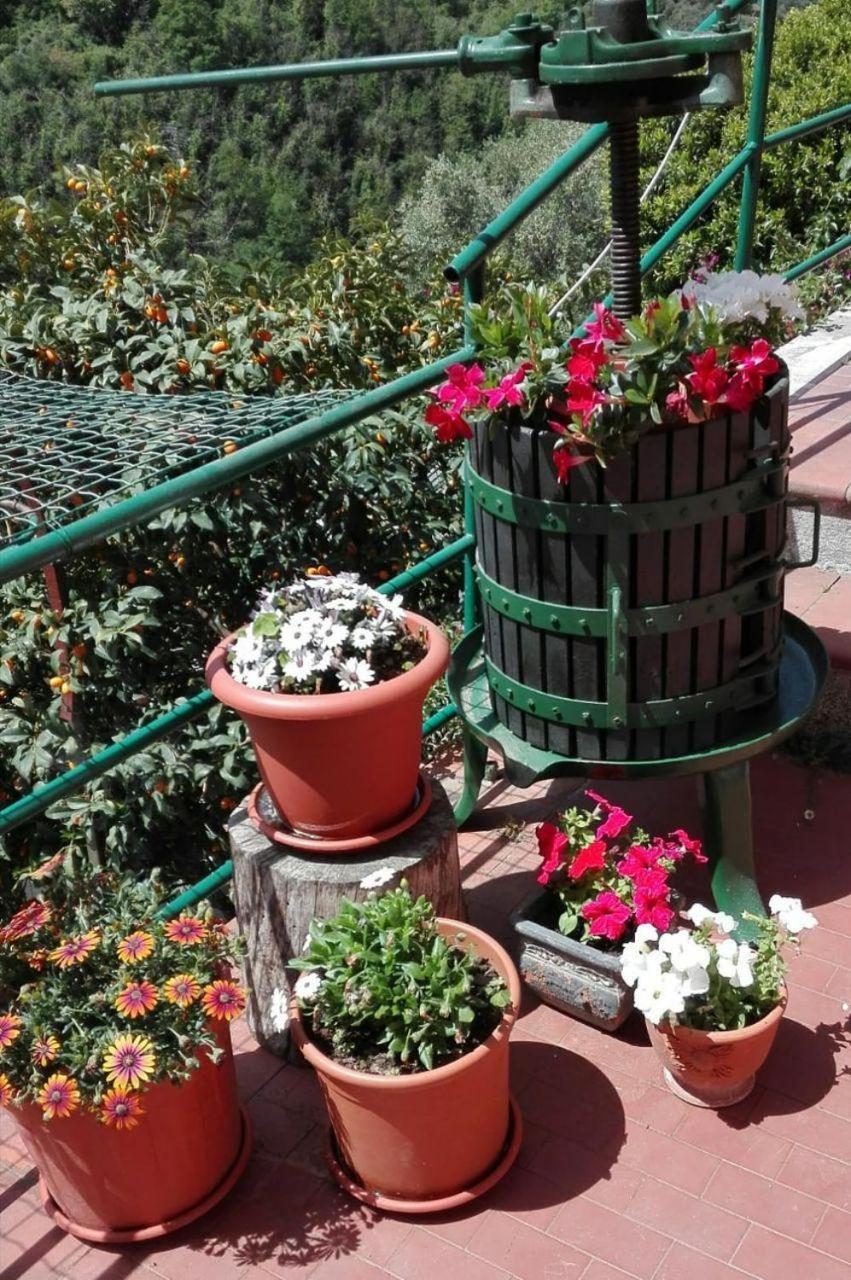 Villa Casa Ofelia à Levanto Extérieur photo